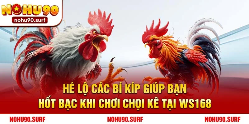 Hé lộ các bí kíp giúp bạn hốt bạc khi chơi chọi kê tại WS168