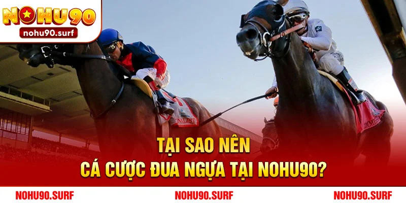 Tại sao nên cá cược đua ngựa tại Nohu90?