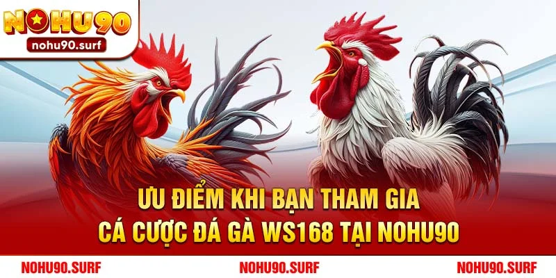 Ưu điểm khi bạn tham gia cá cược đá gà WS168 tại Nohu90