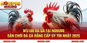 WS168 Đá gà tại Nohu90 - Sân chơi đá gà đẳng cấp uy tín nhất 2025